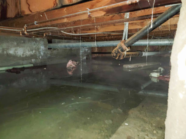 Best Flooded house restoration  in Rusk, TX