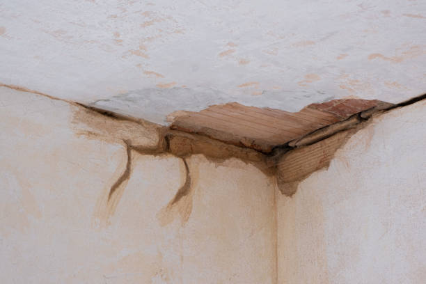 Best Ceiling water damage repair  in Rusk, TX