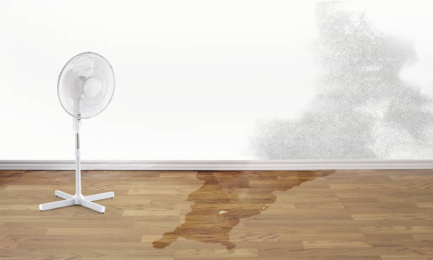 Best 24/7 water damage repair  in Rusk, TX