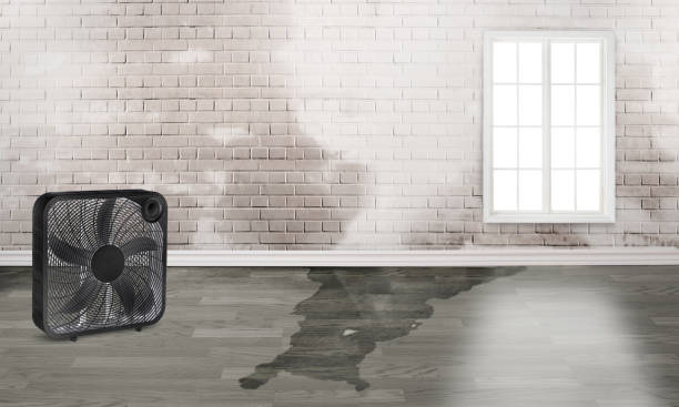 Best Emergency water damage restoration  in Rusk, TX