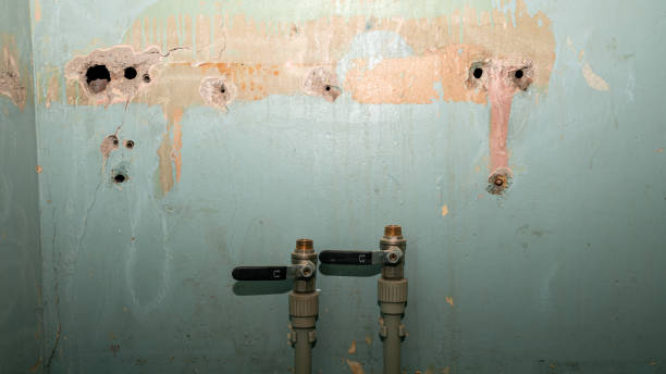 Best Carpet water damage restoration  in Rusk, TX