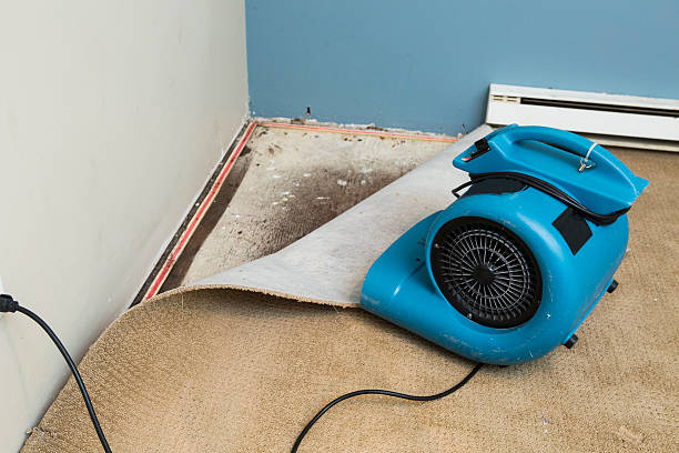 Best Carpet water damage restoration  in Rusk, TX